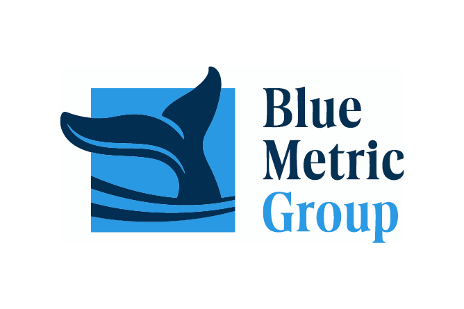 Blue Metric Group
